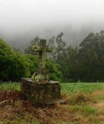 Camino del Norte on a foggy morning